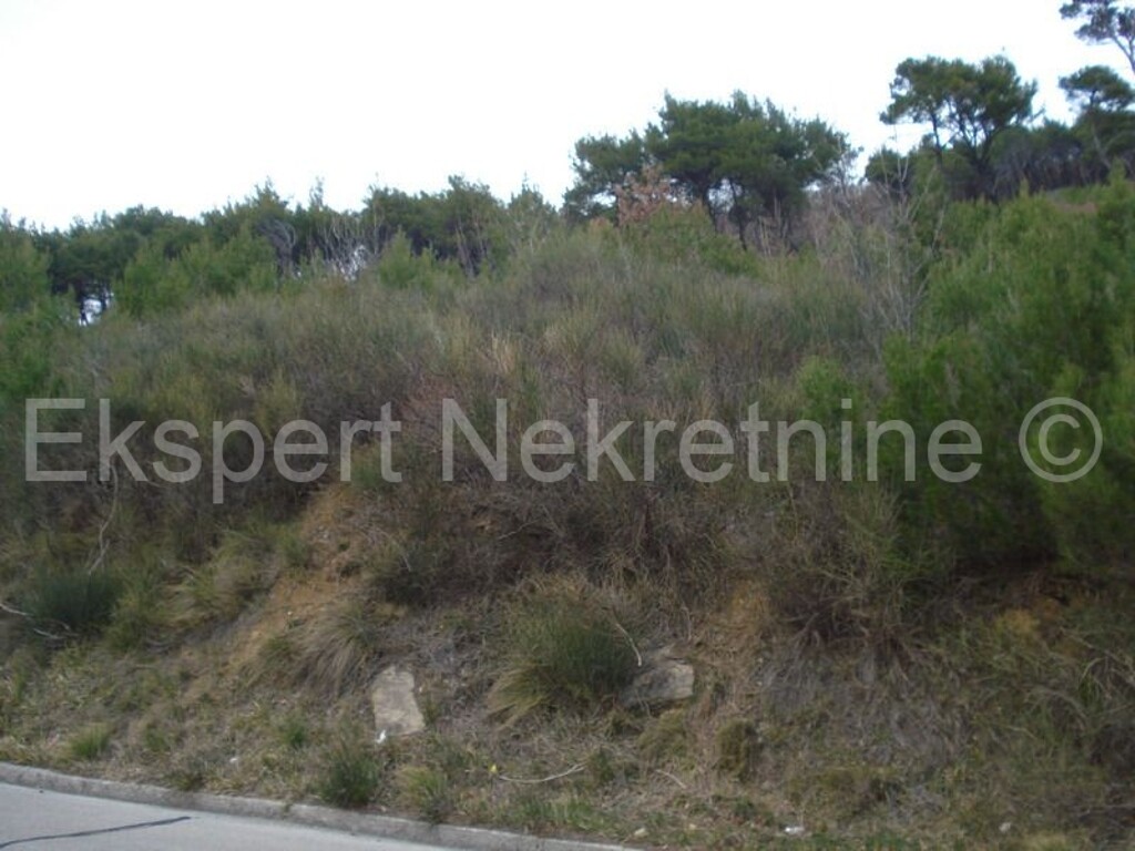 Image 3666988 - 12
