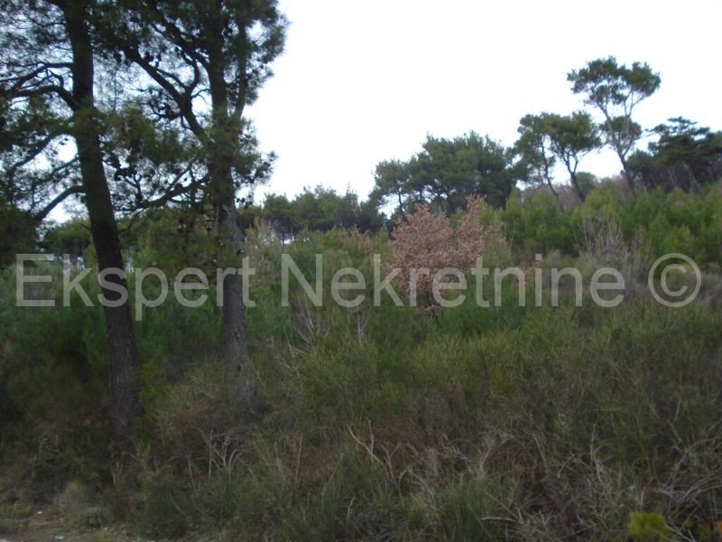 Image 3666988 - 16