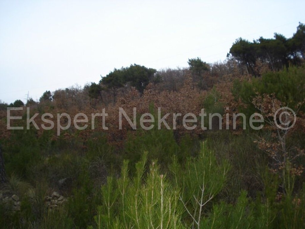 Image 3666988 - 4