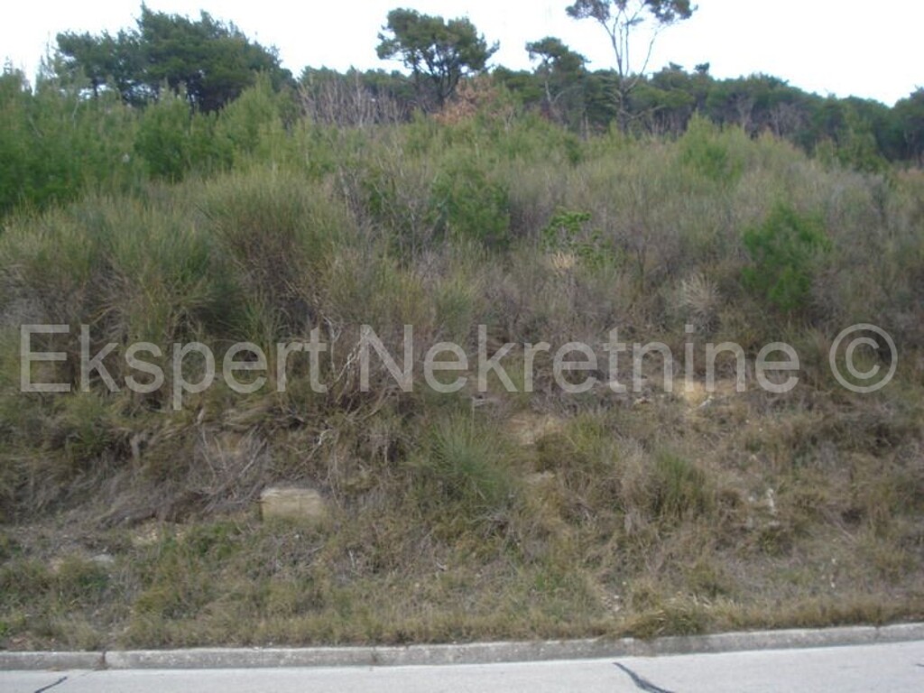 Image 3666988 - 13