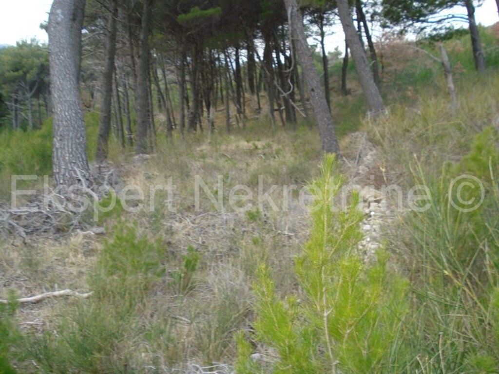 Image 3666988 - 3