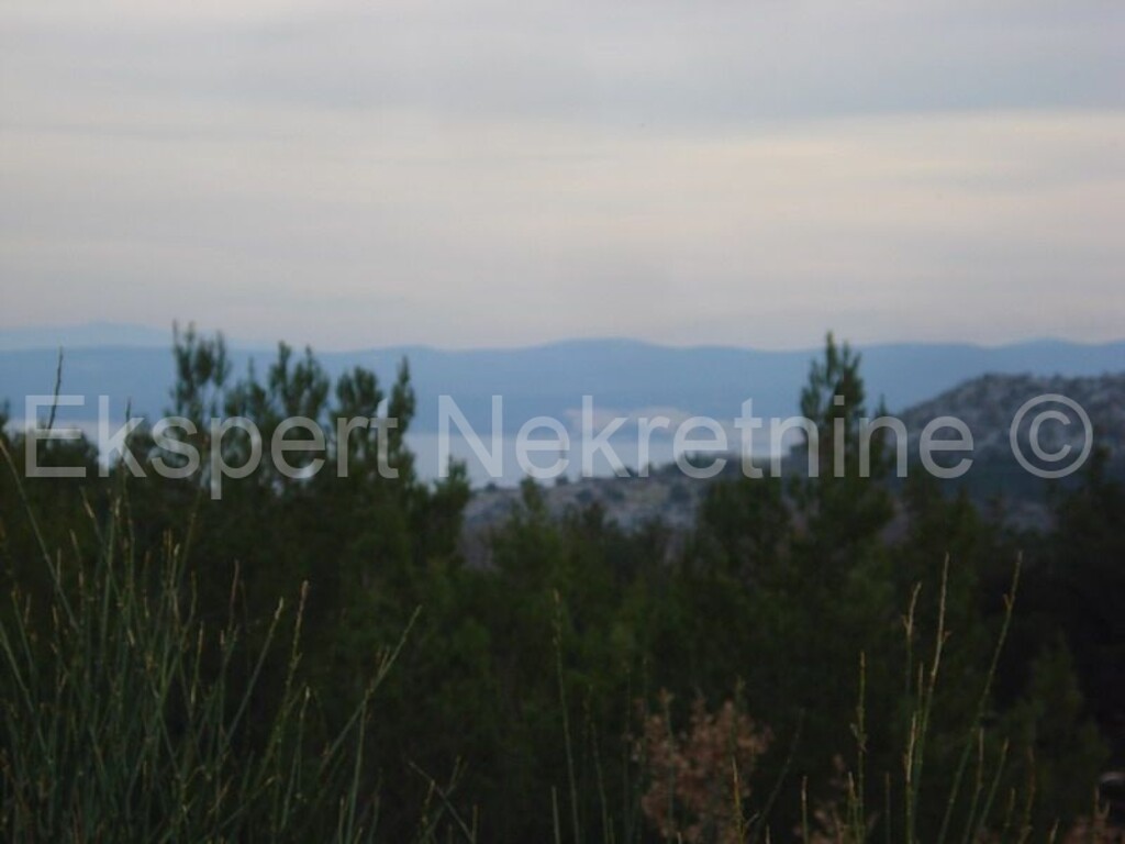 Image 3666988 - 11