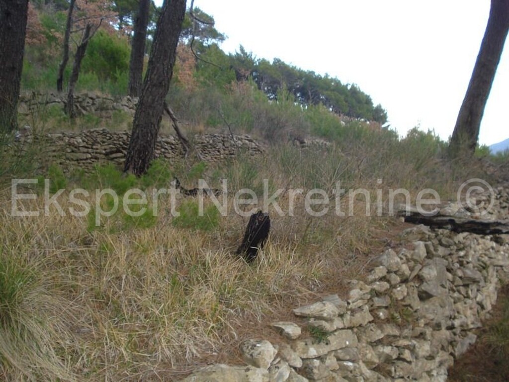 Image 3666988 - 8