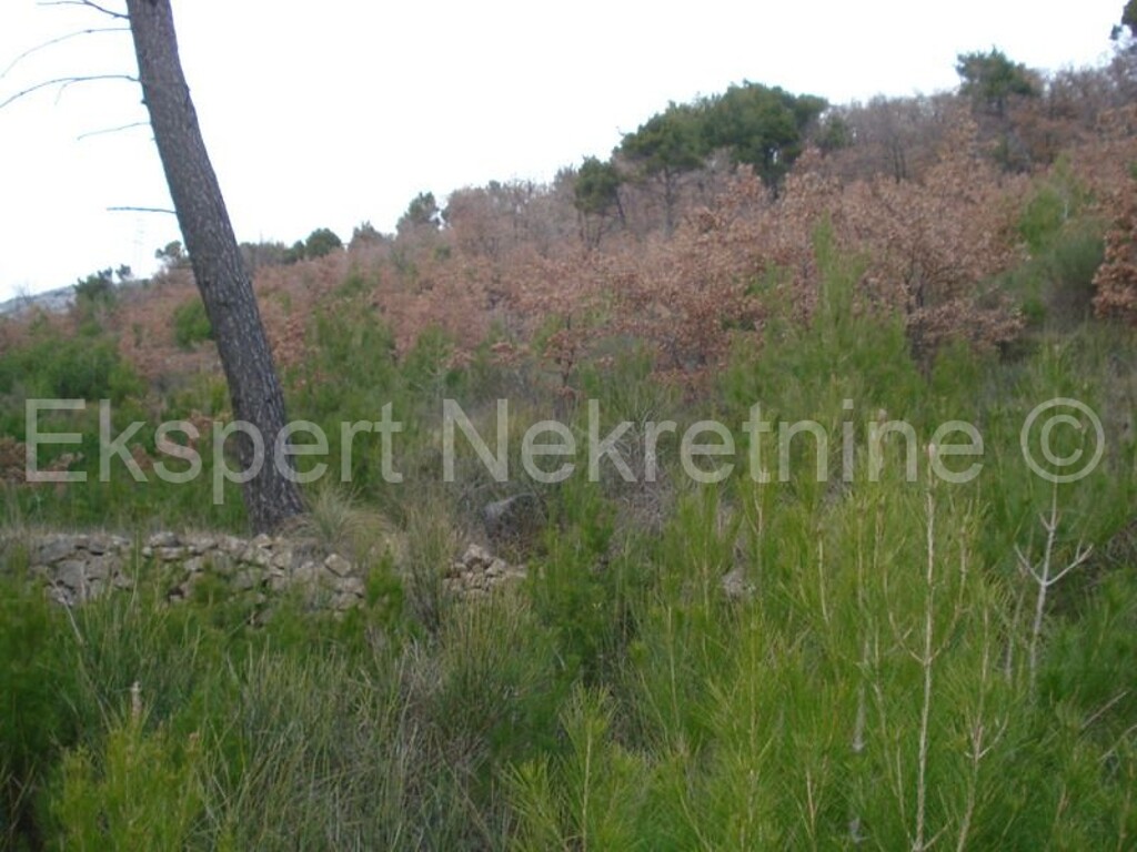 Image 3666988 - 2