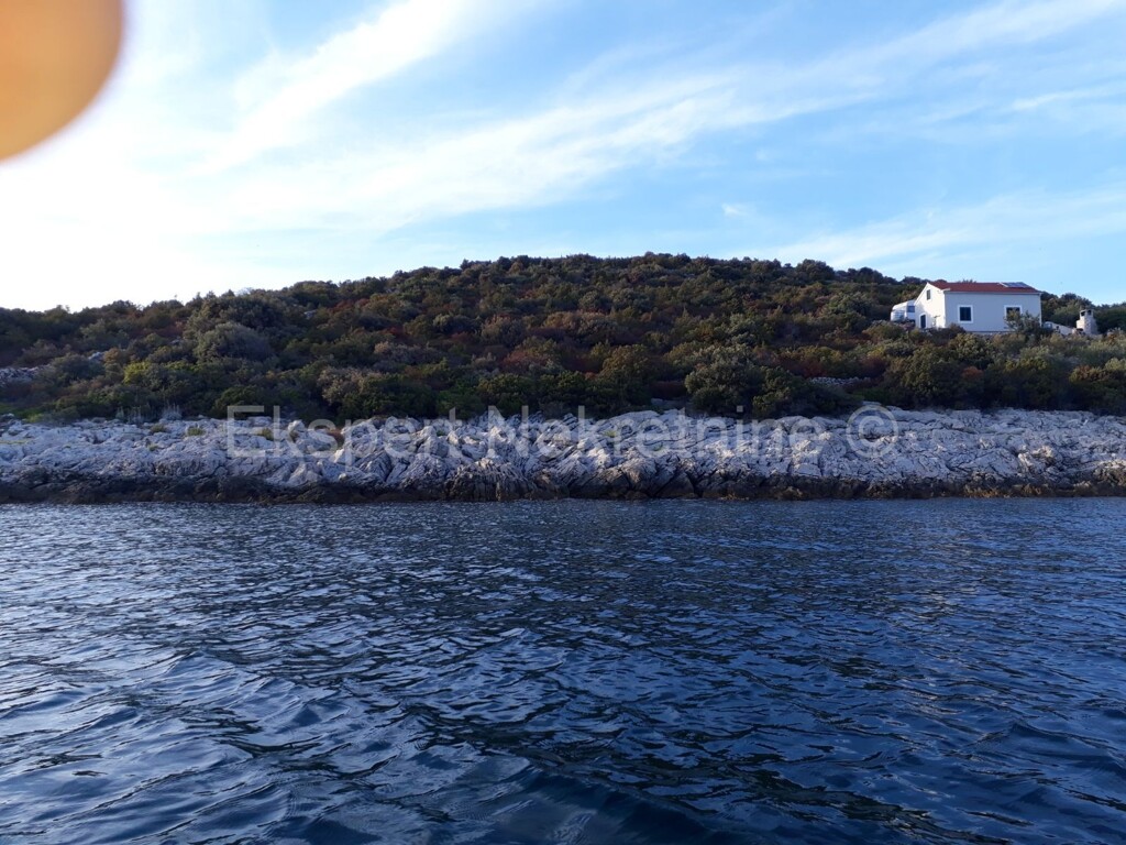 Image 3667009 - 5