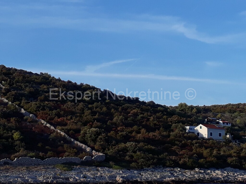 Image 3667009 - 7