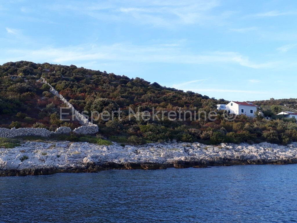 Image 3667009 - 6