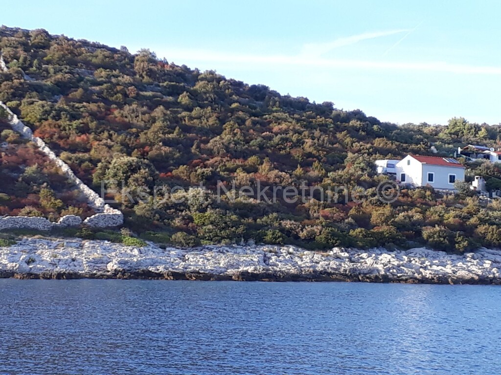 Image 3667009 - 8