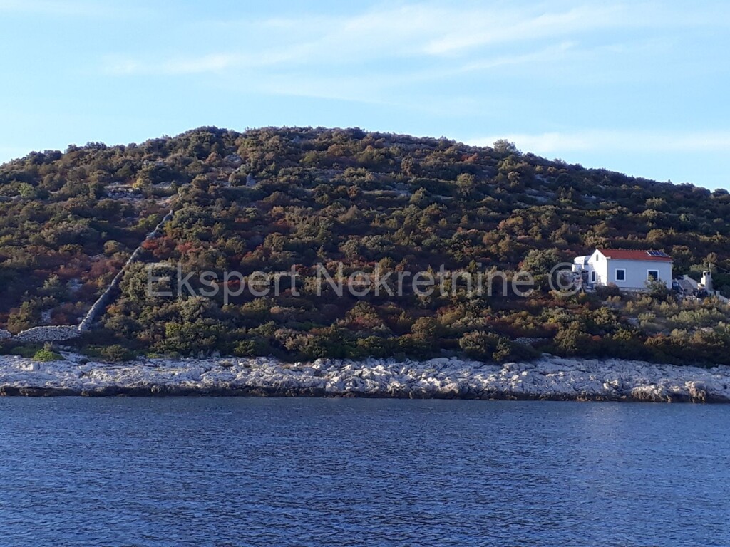 Image 3667009 - 10