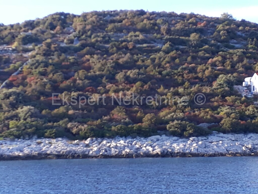 Image 3667009 - 9