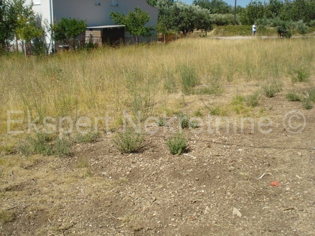 Image 3667087 - 8