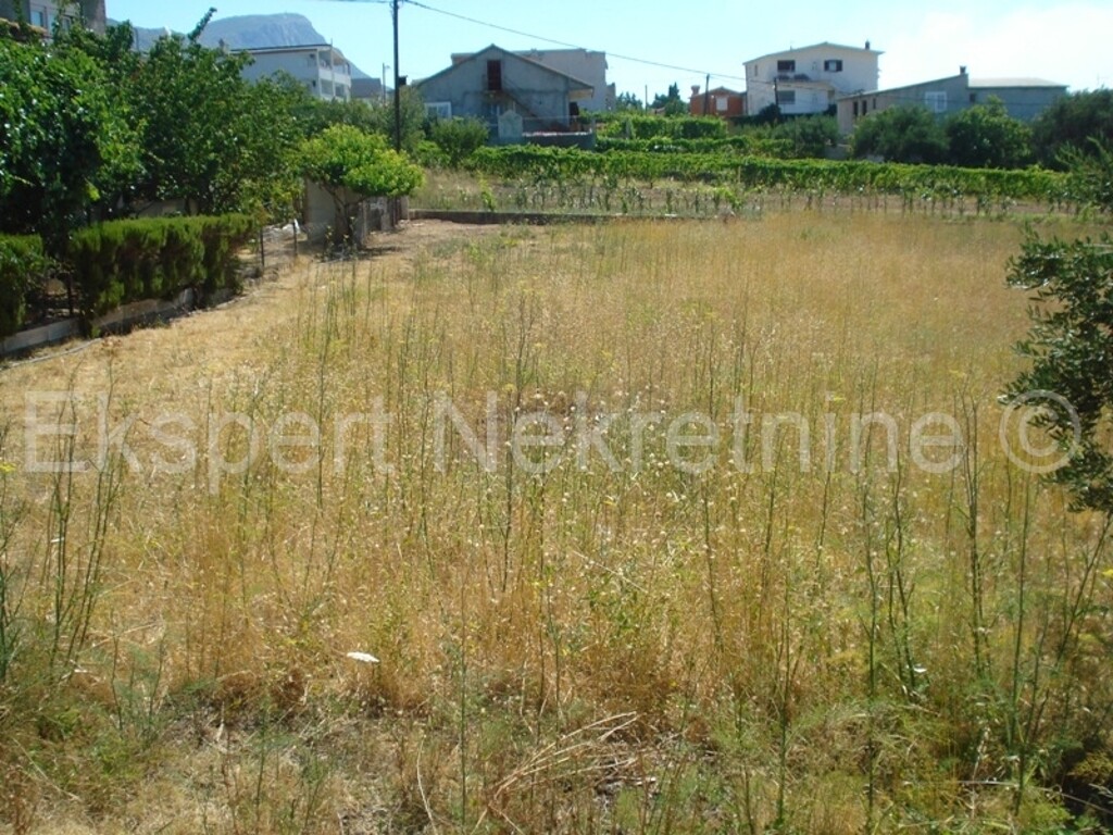 Image 3667087 - 2