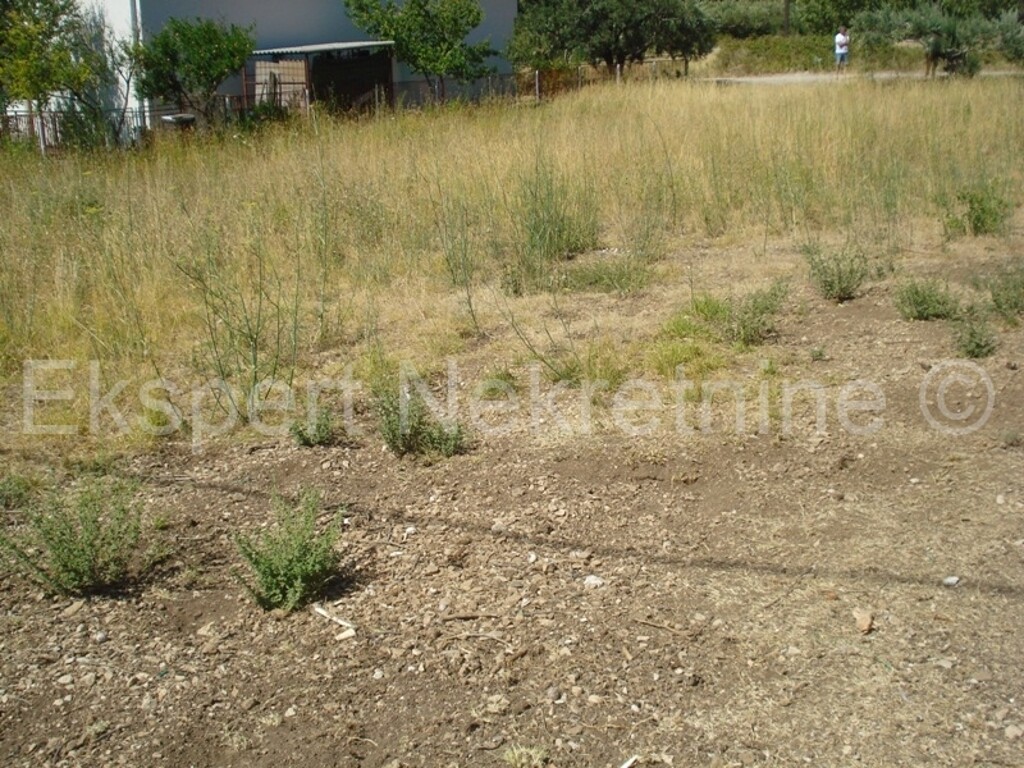 Image 3667087 - 5