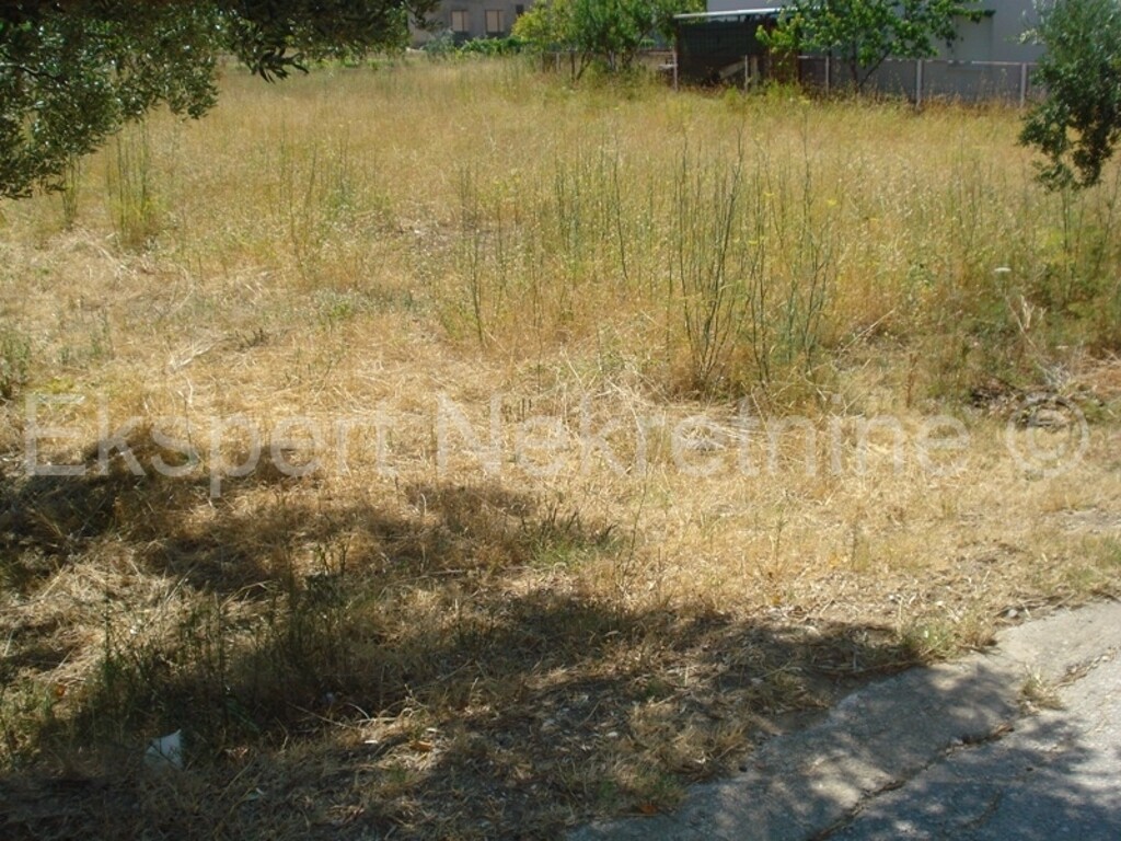 Image 3667087 - 9
