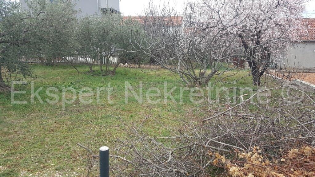 Image 3667141 - 7