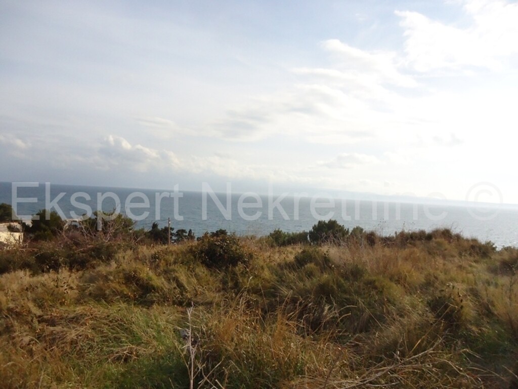 Image 3667155 - 1