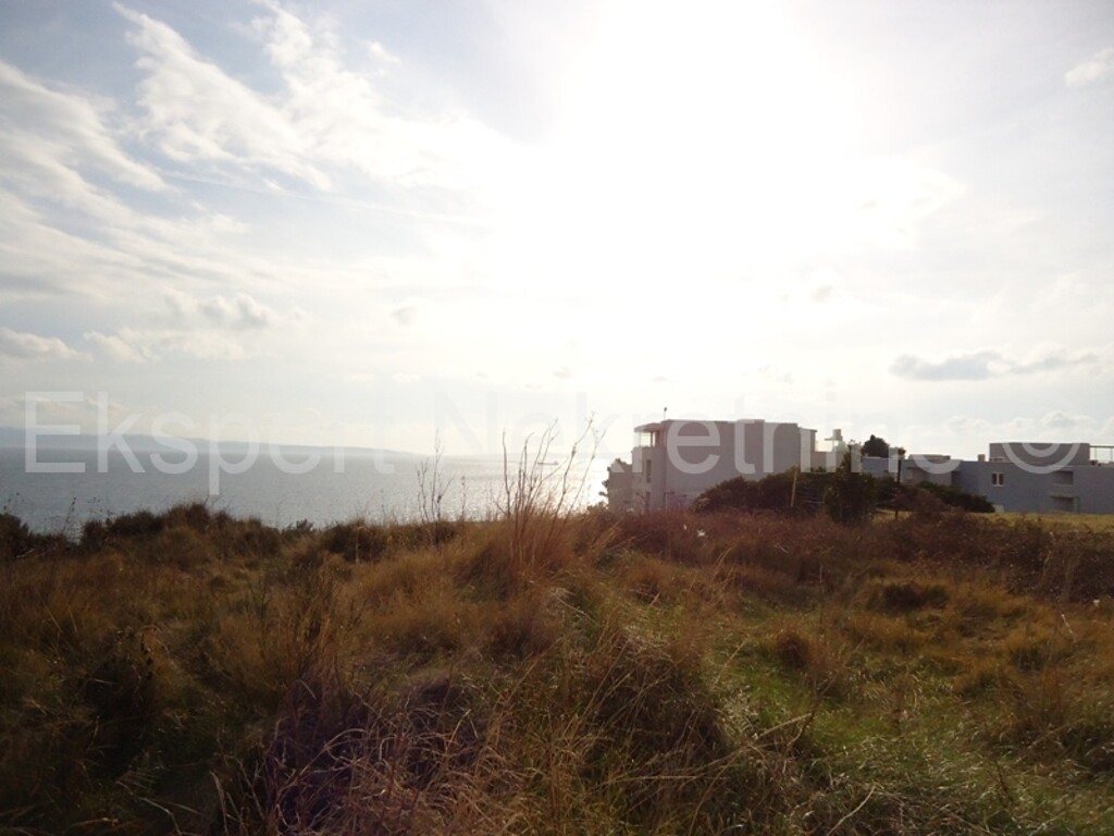 Image 3667155 - 2