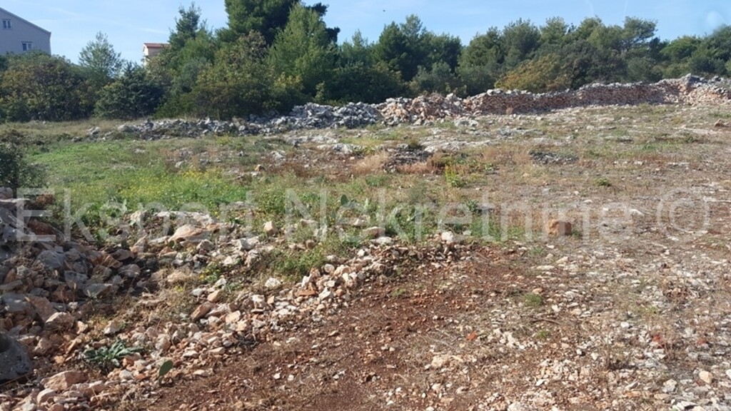 Image 3667197 - 5