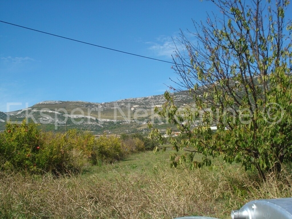 Image 3667203 - 1