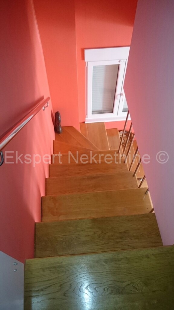 Image 3667209 - 14