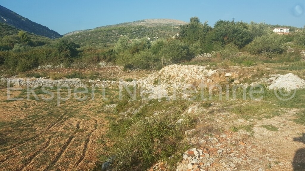 Image 3667217 - 8