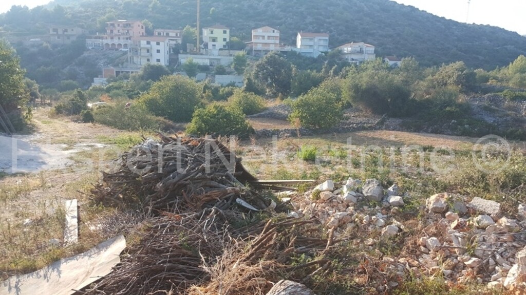 Image 3667217 - 7