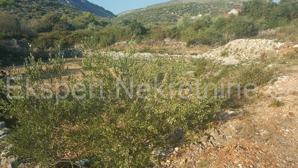 Image 3667217 - 6