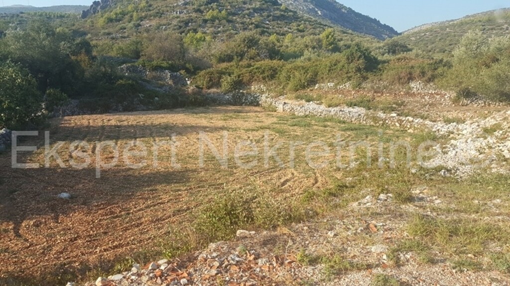 Image 3667217 - 3