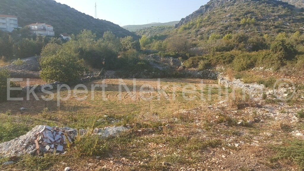 Image 3667217 - 1