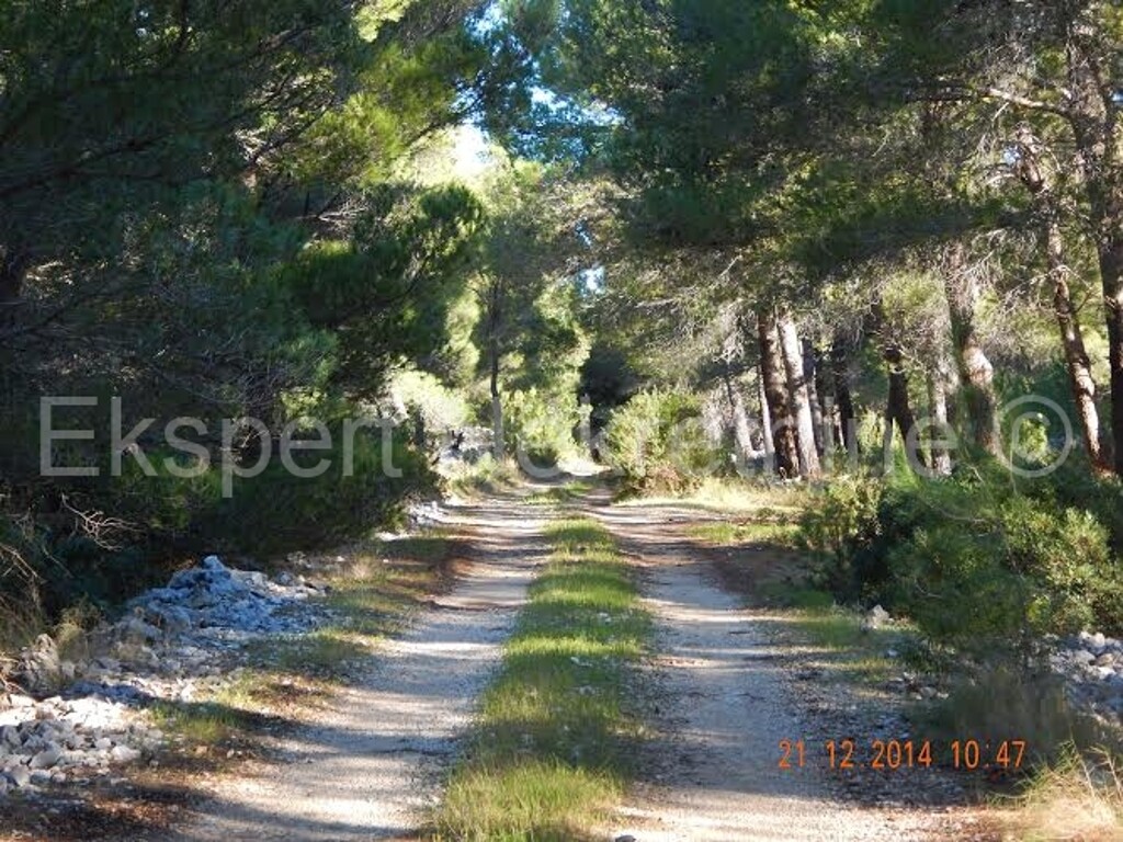Image 3667235 - 5