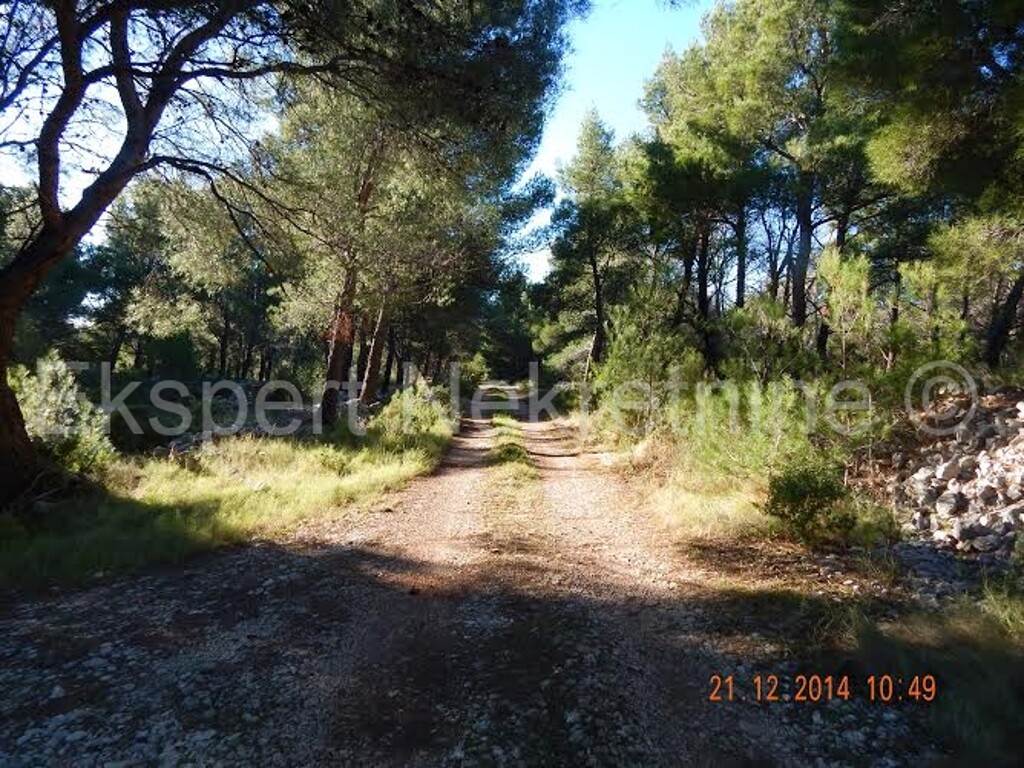 Image 3667235 - 4