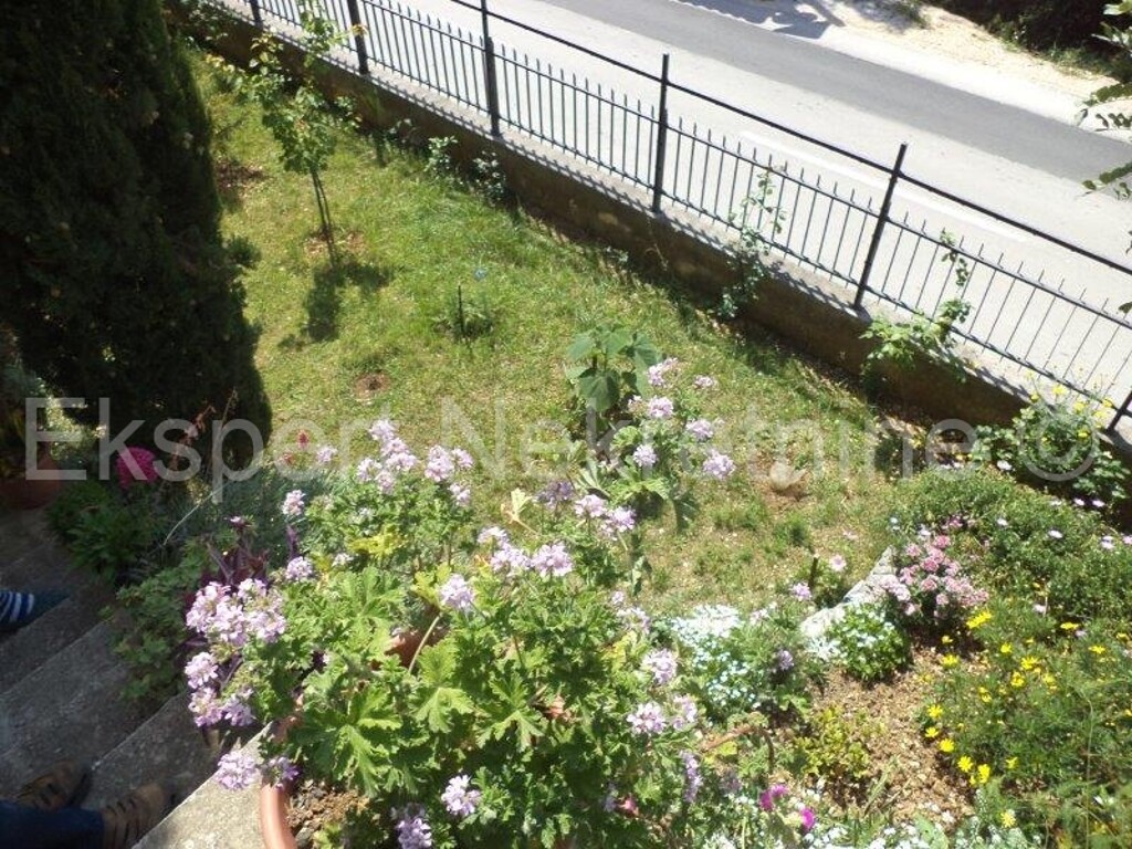Image 3667259 - 8