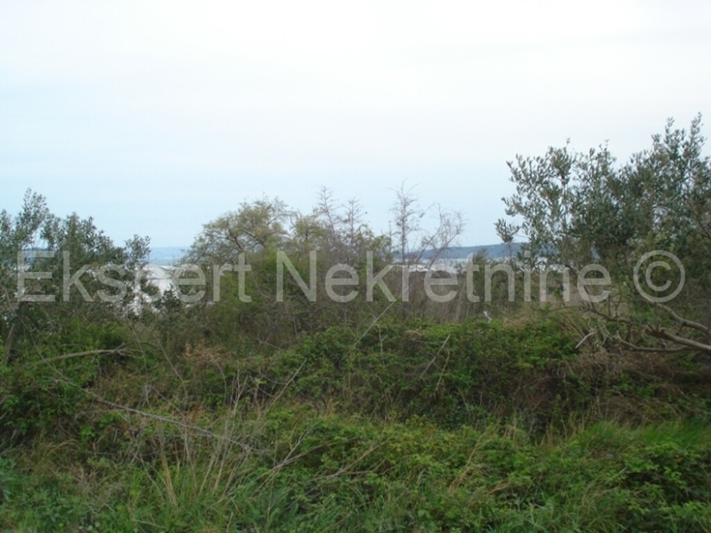 Image 3667266 - 5
