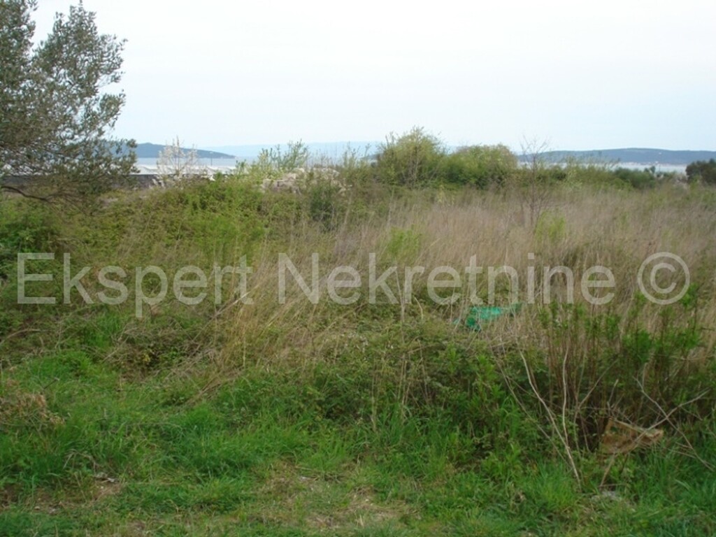 Image 3667266 - 4