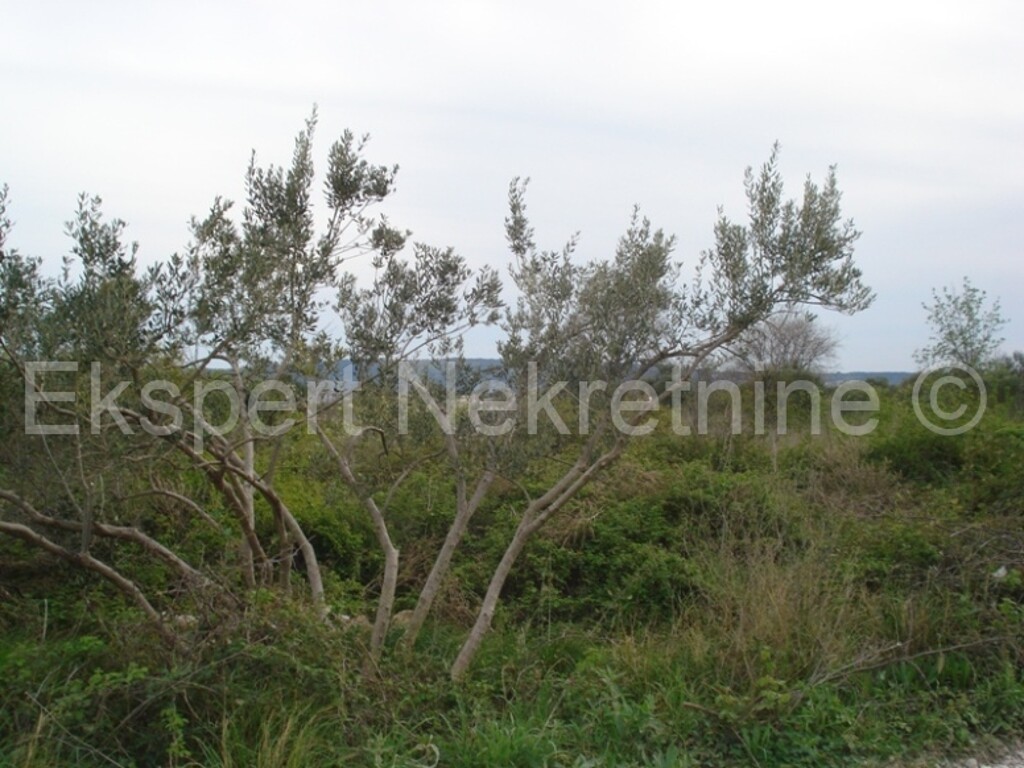 Image 3667266 - 3