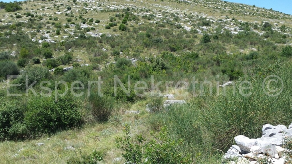 Image 3667321 - 7