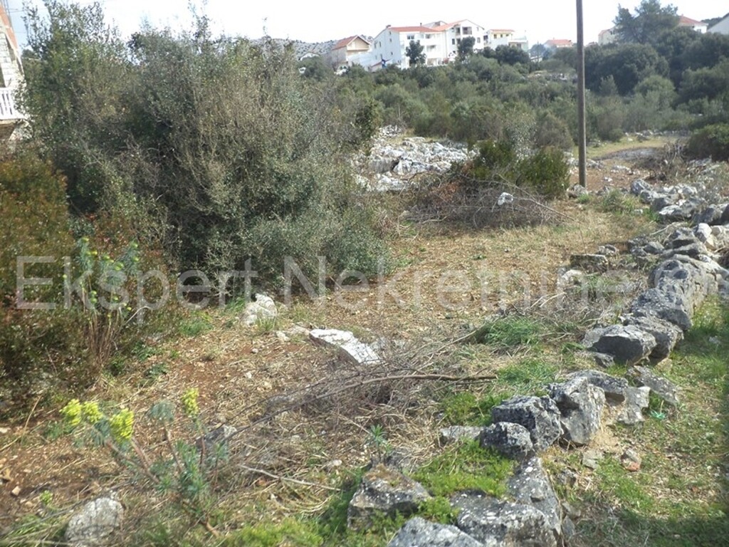 Image 3667359 - 3