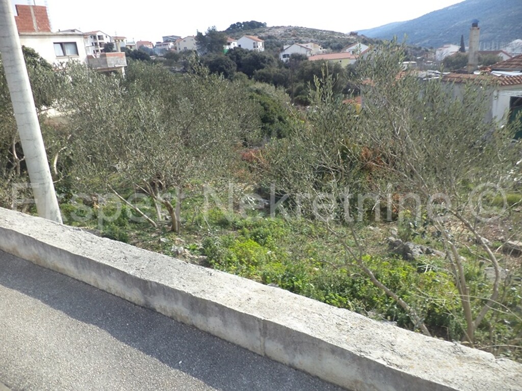 Image 3667359 - 1