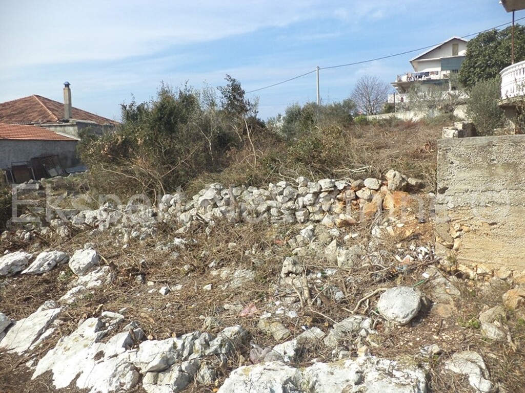 Image 3667359 - 7