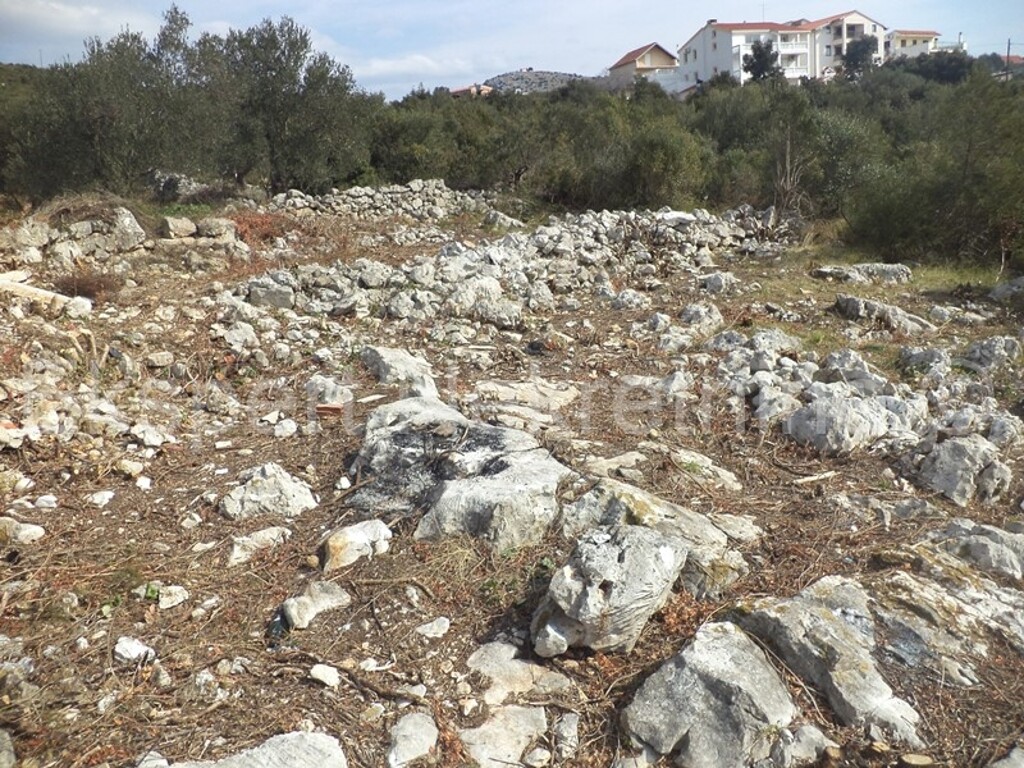 Image 3667359 - 6