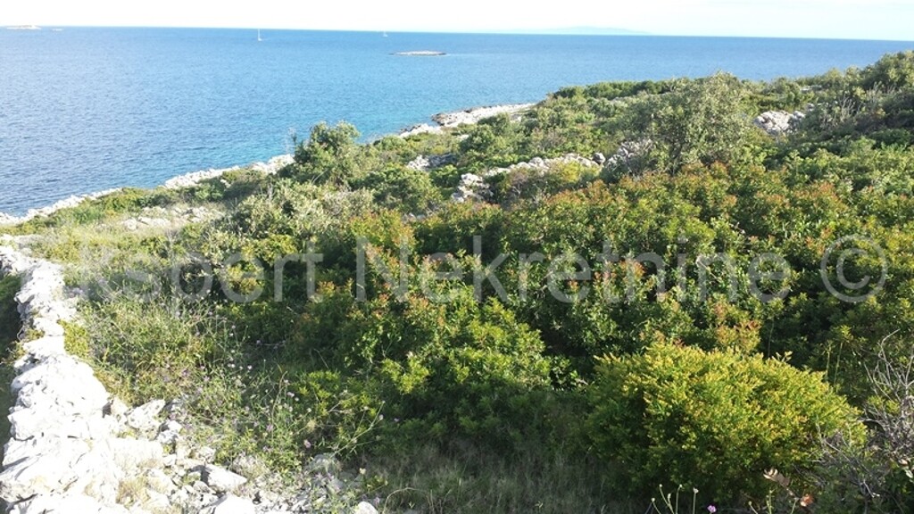 Image 3667422 - 7