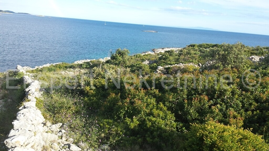Image 3667422 - 5