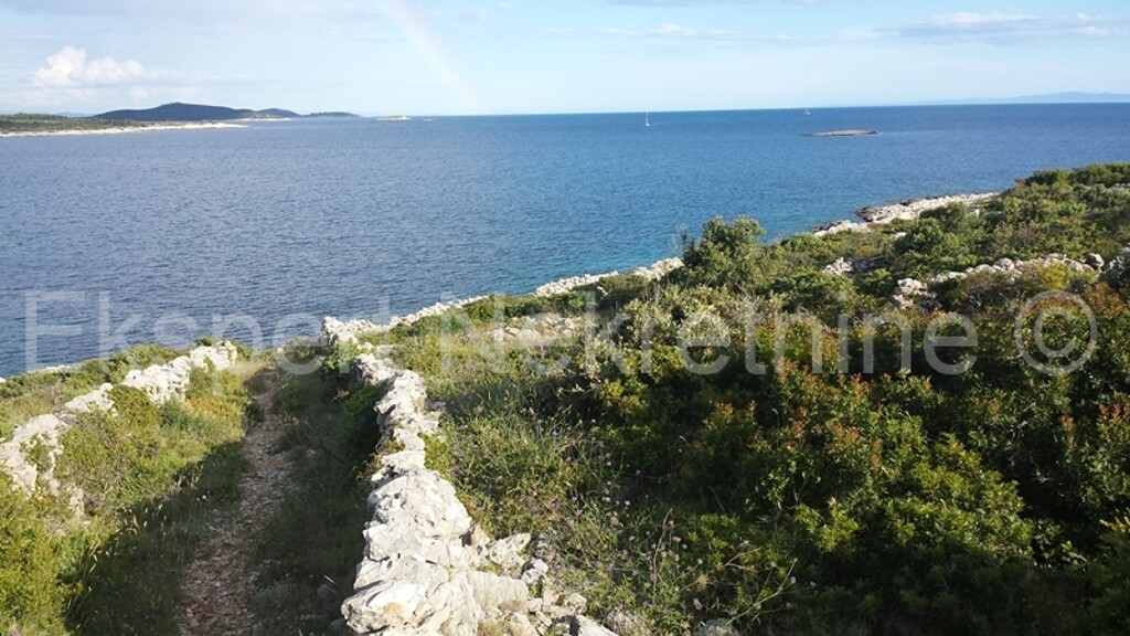 Image 3667422 - 6