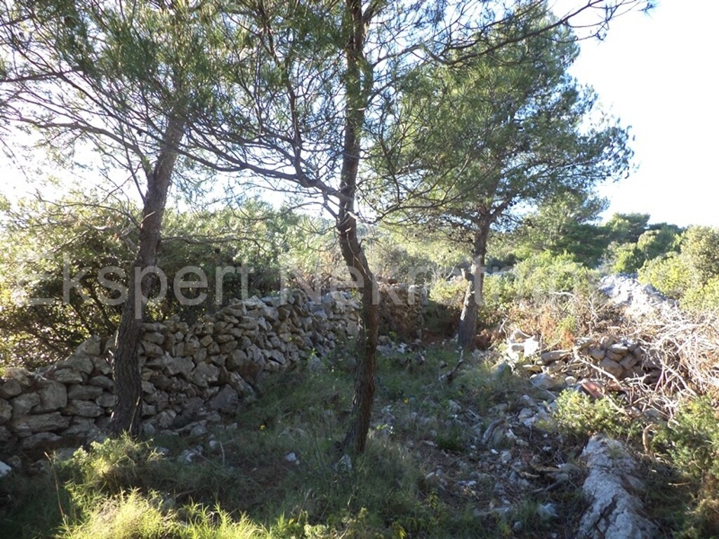 Image 3667454 - 4