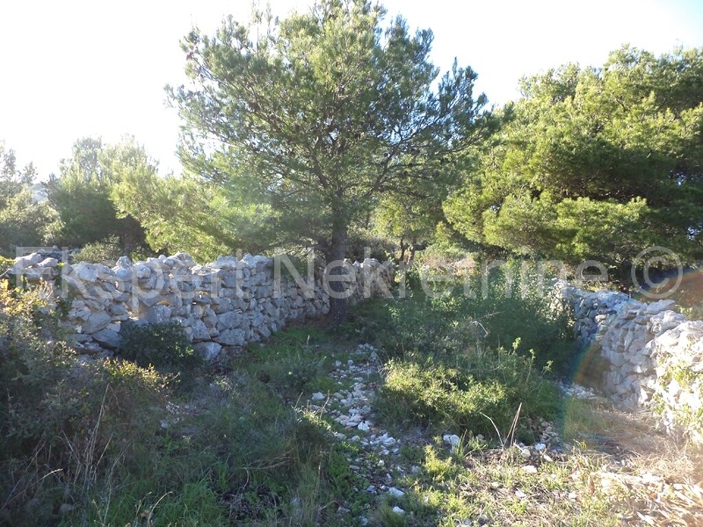 Image 3667454 - 2