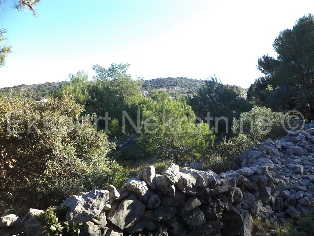 Image 3667454 - 5