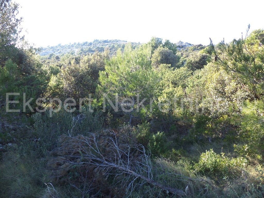 Image 3667454 - 6