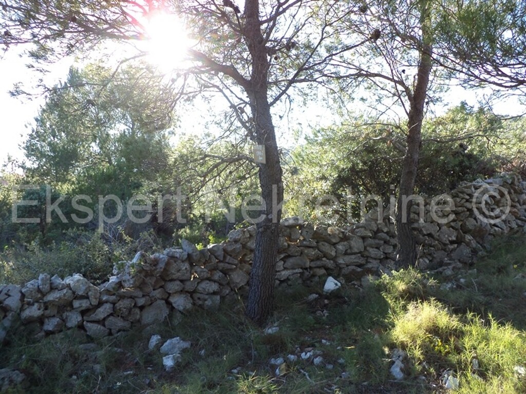 Image 3667454 - 3