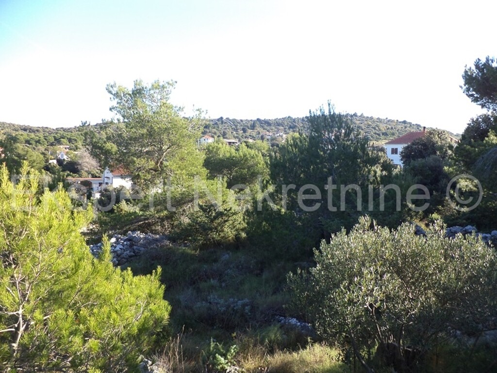Image 3667454 - 8