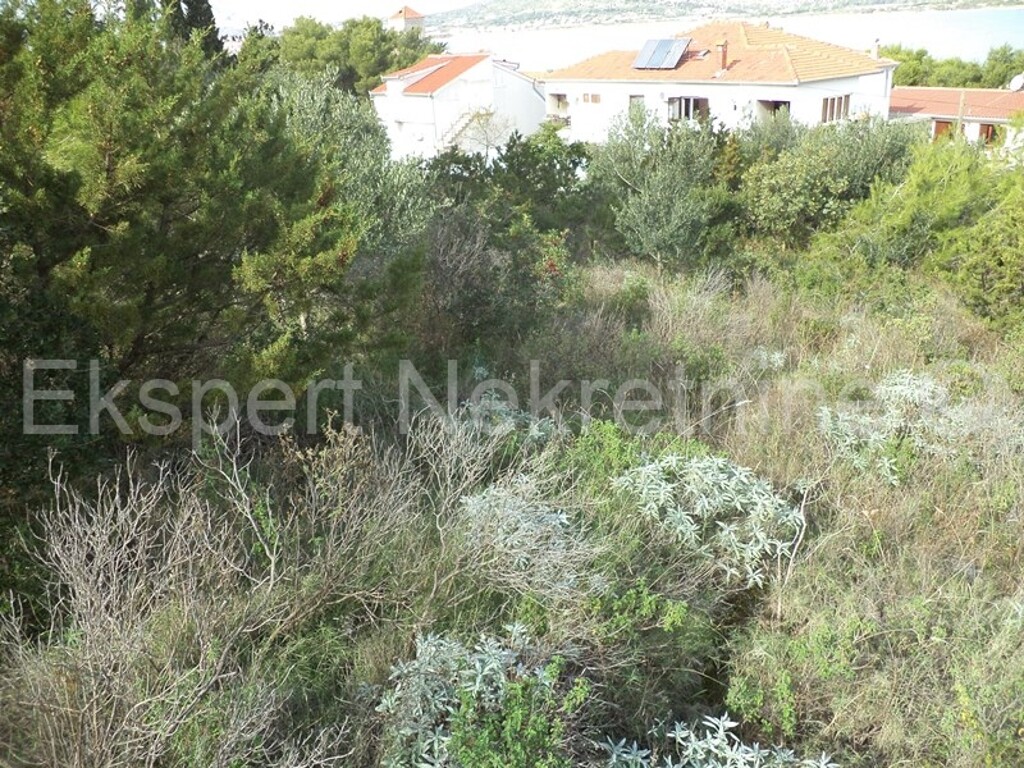 Image 3667462 - 3